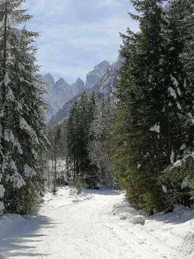 Zbogar Rateče Exterior foto