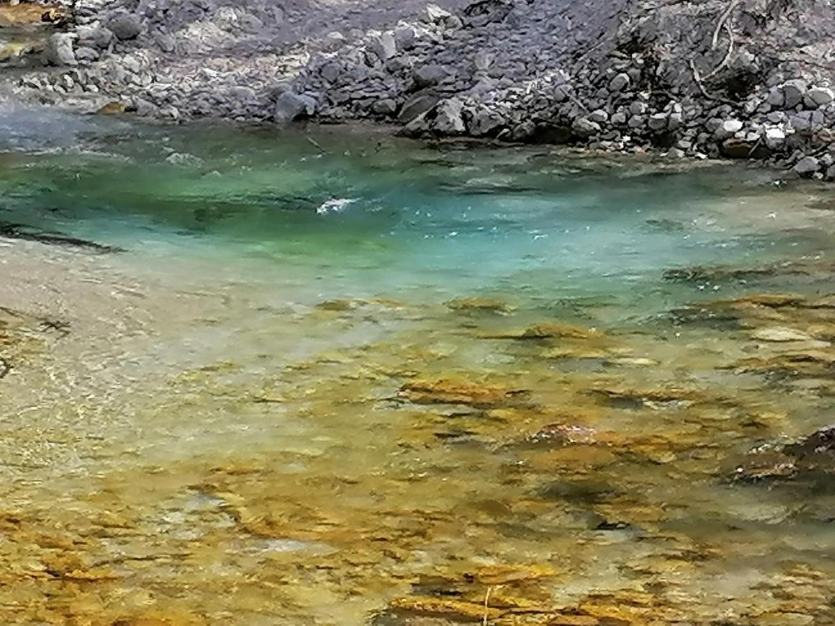 Zbogar Rateče Exterior foto