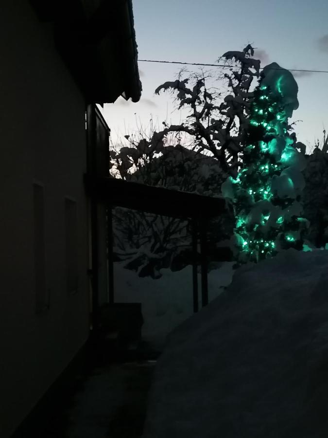 Zbogar Rateče Exterior foto
